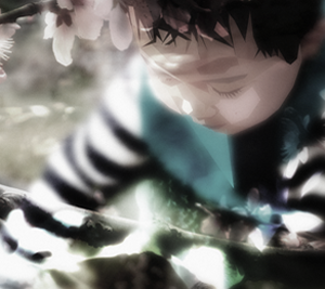 网站ddos隐藏源ip